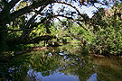 Koreshan State Park